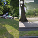 Illustration for article titled Google Street View Car Captures Google Street View Bike Captures Google Street View Car